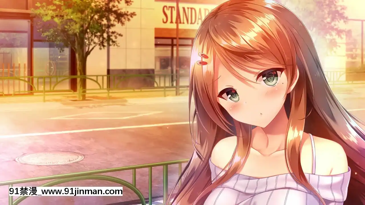 [HOOKSOFT]どっちのiが好きですか？[西義之 18禁]