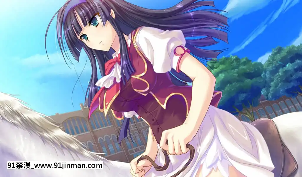 姫様限定！PrincessLimited[18h carbon rim]