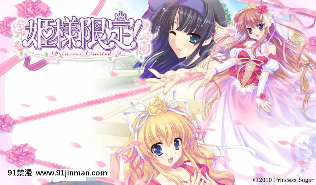 姫様限定！PrincessLimited[18h carbon rim]