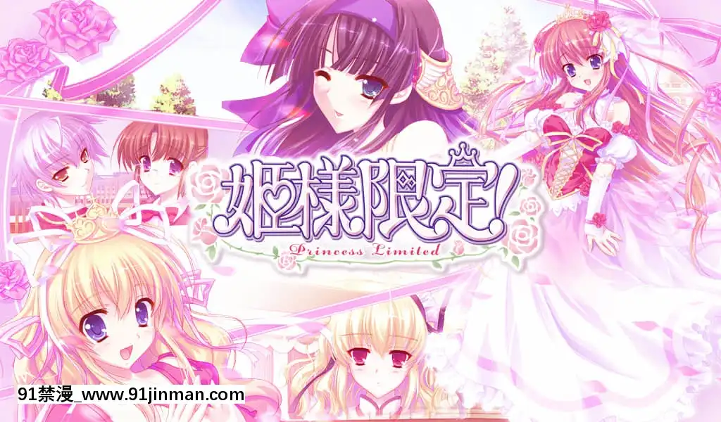 姫様限定！PrincessLimited[18h carbon rim]