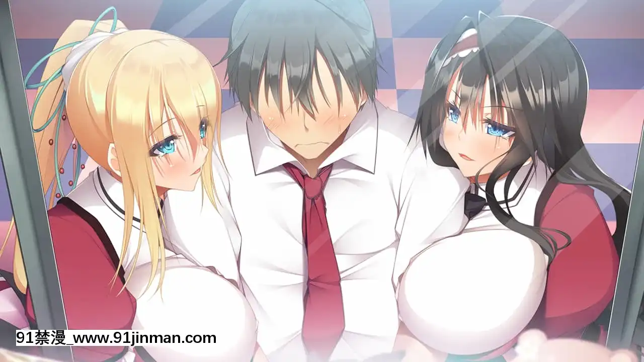[DESSERTSoft]彼女（ヒロイン）は友達ですか？戀人ですか？それともトメフレですか？[海賊王 色情漫畫]