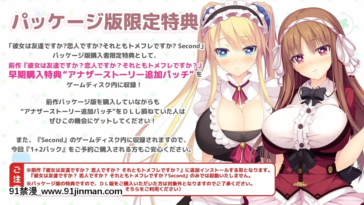 [DESSERTSoft]彼女（ヒロイン）は友達ですか？戀人ですか？それともトメフレですか？[海賊王 色情漫畫]