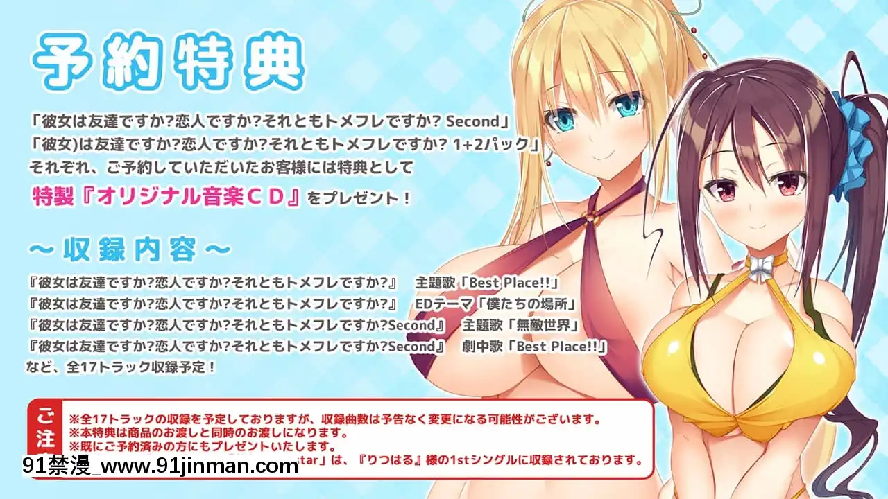 [DESSERTSoft]彼女（ヒロイン）は友達ですか？戀人ですか？それともトメフレですか？[海賊王 色情漫畫]
