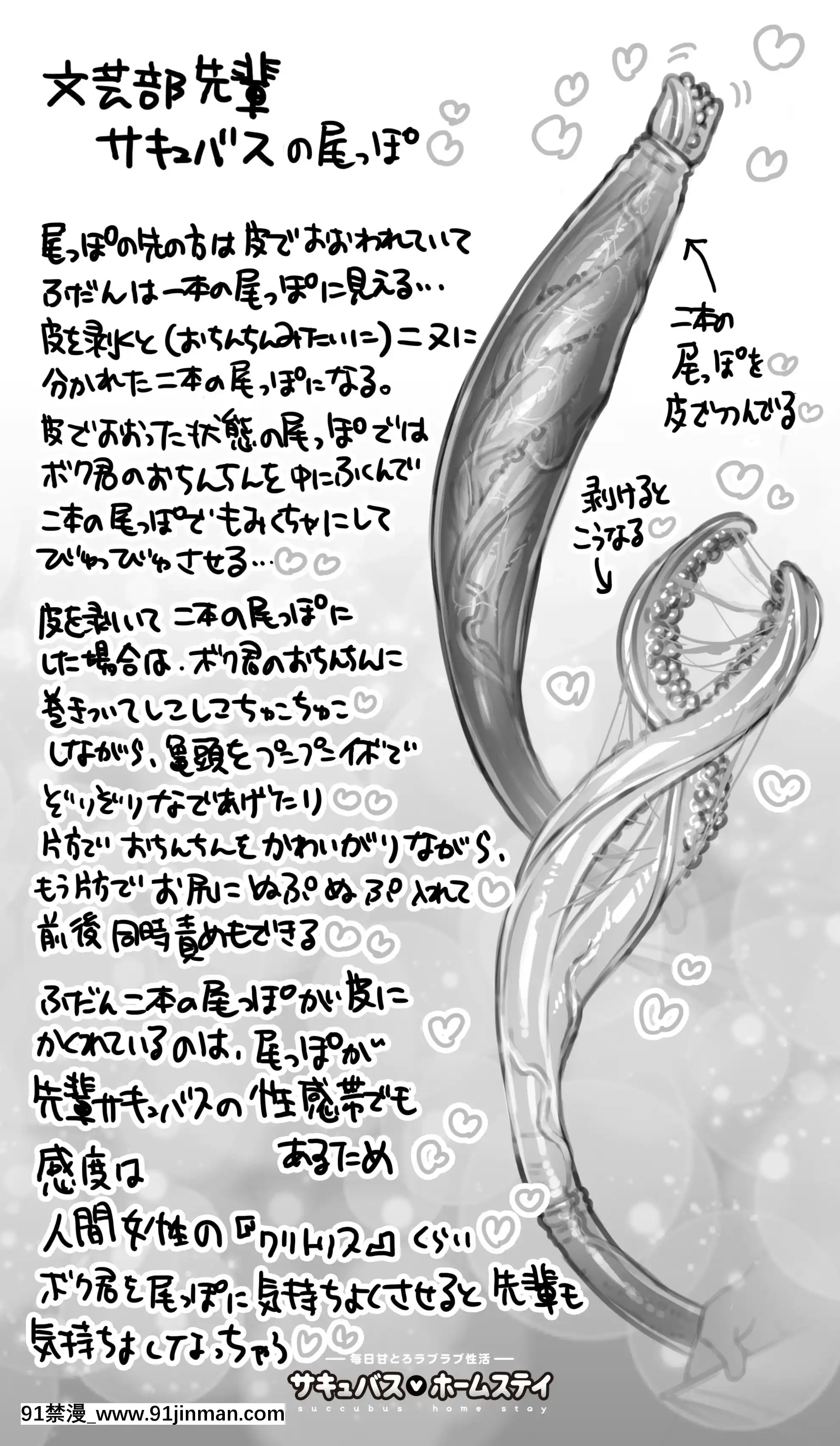 OgreIllustFanbox[18禁 午夜場]