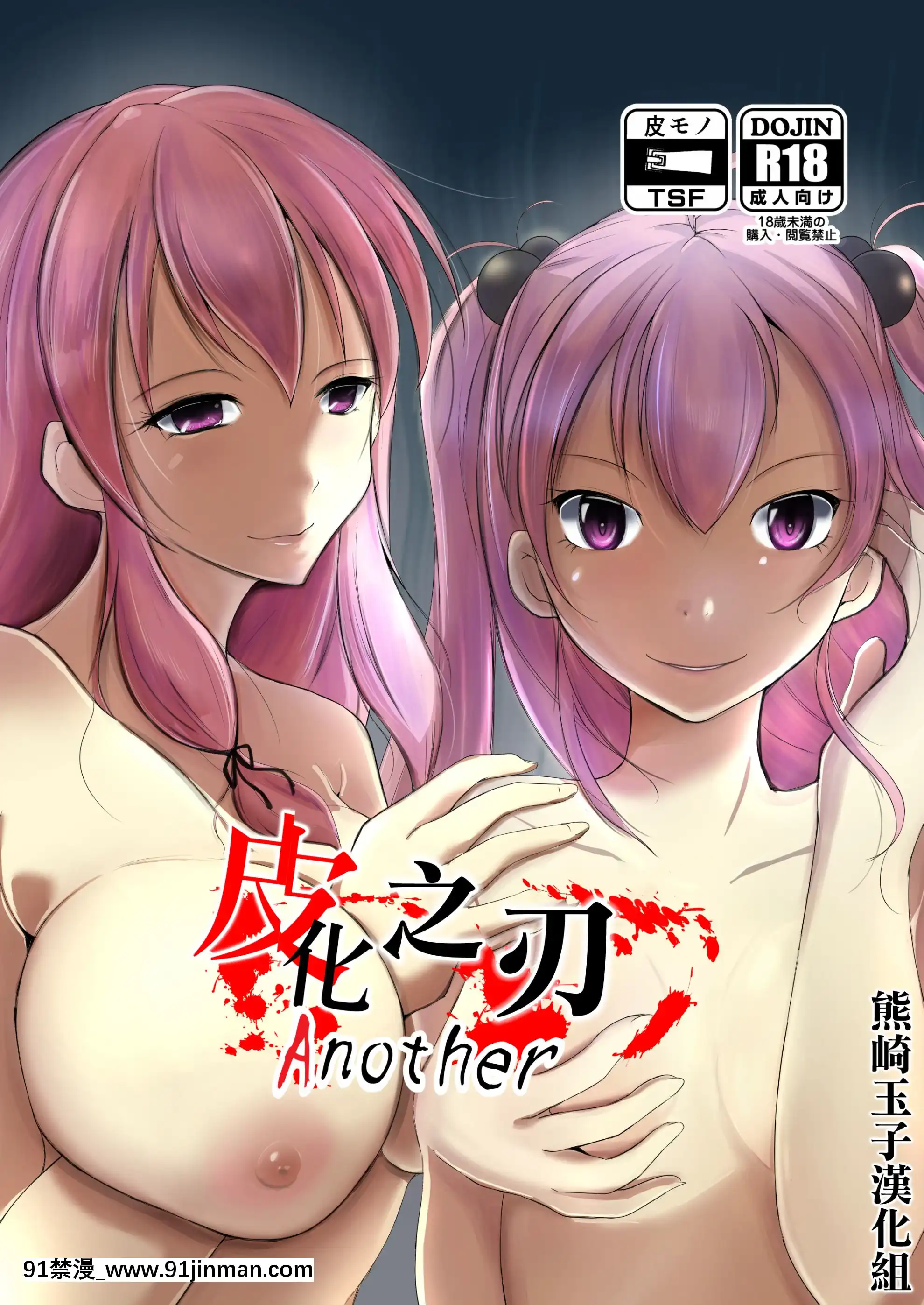 [岩手书店]皮化刀Another[熊崎玉子汉化组][akh wien station 18h]