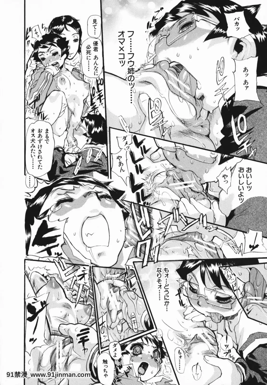 [N.O-茶々丸]痴母の花園[フィギュア 18禁]