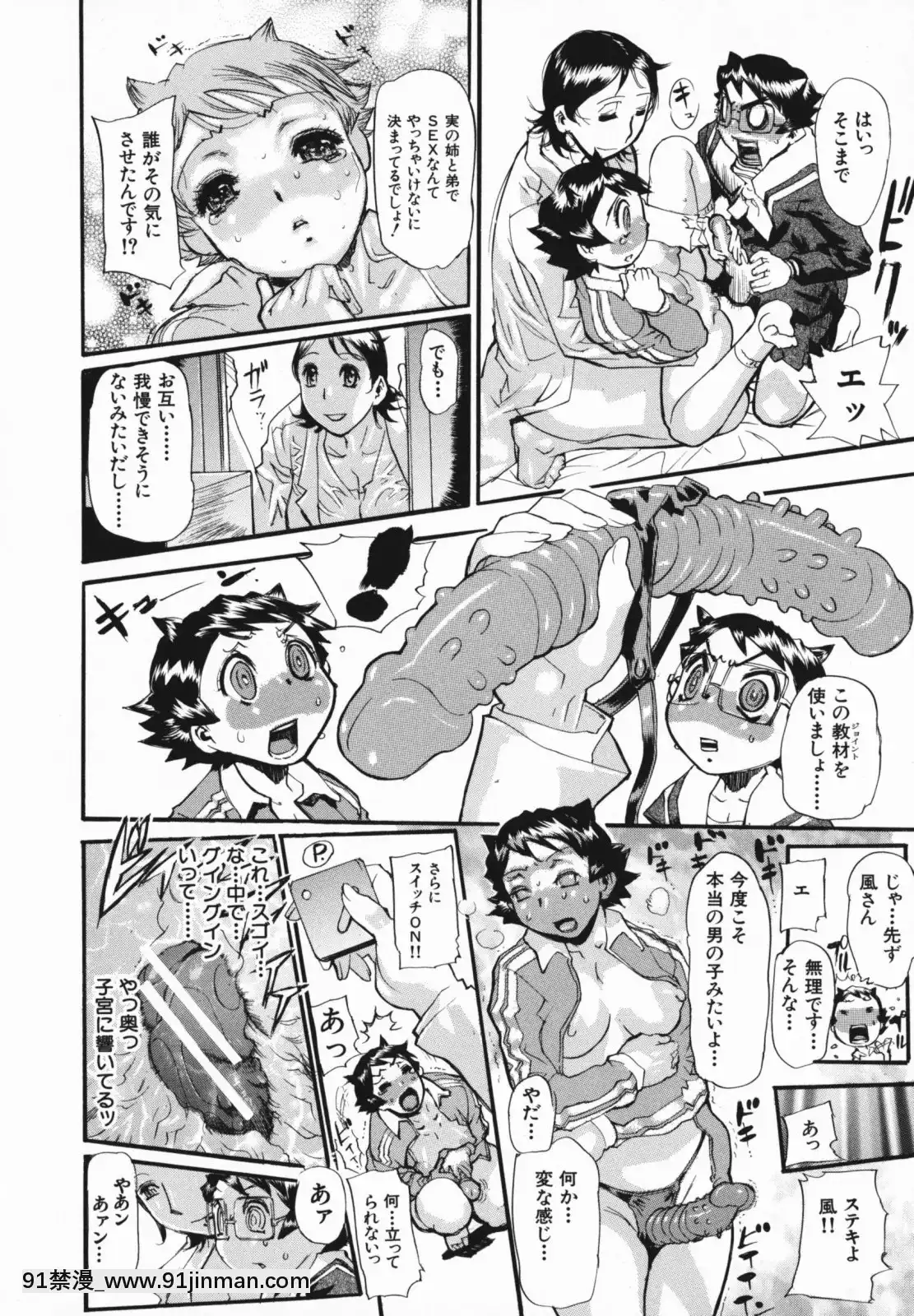 [N.O-茶々丸]痴母の花園[フィギュア 18禁]