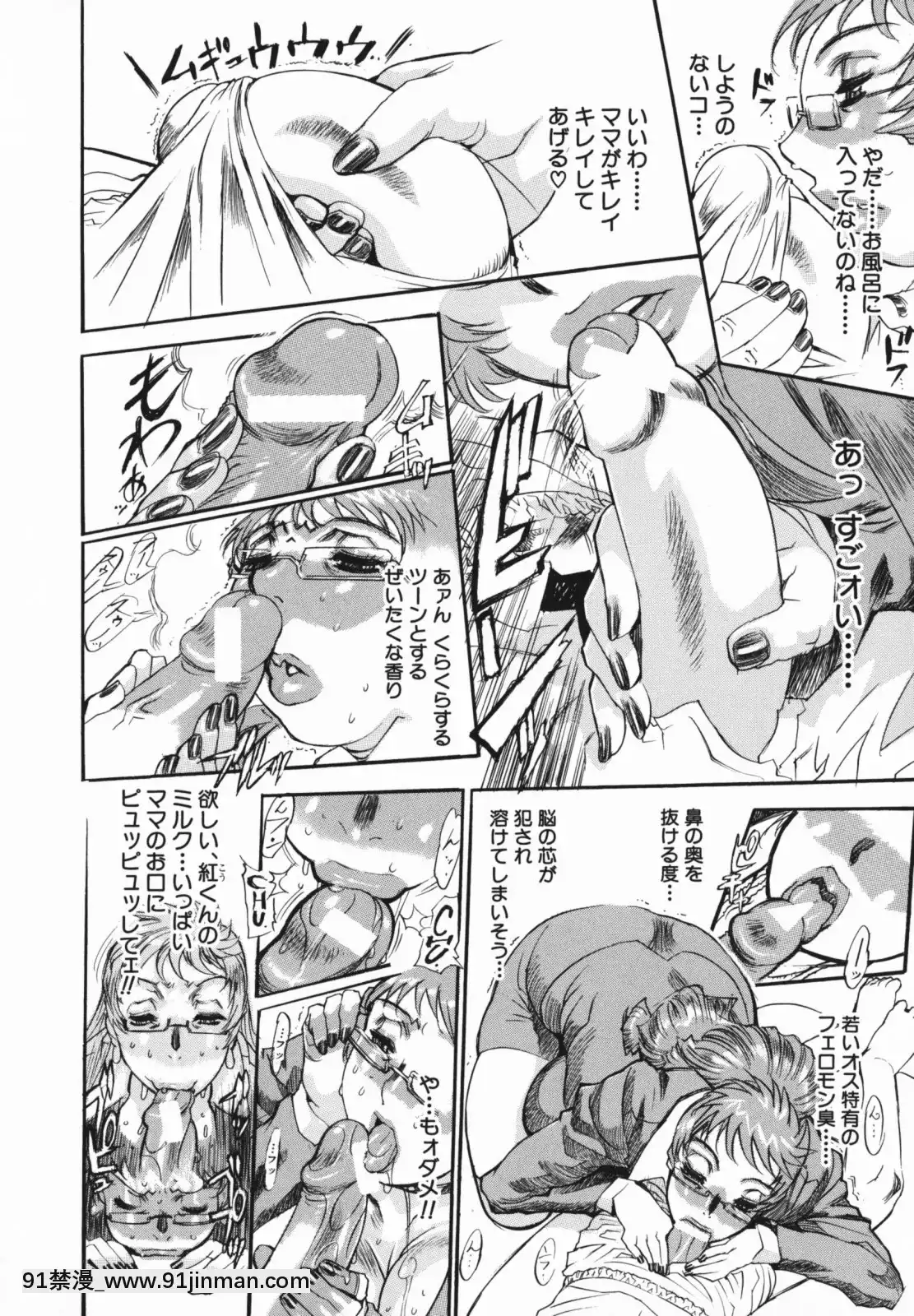 [N.O-茶々丸]痴母の花園[フィギュア 18禁]