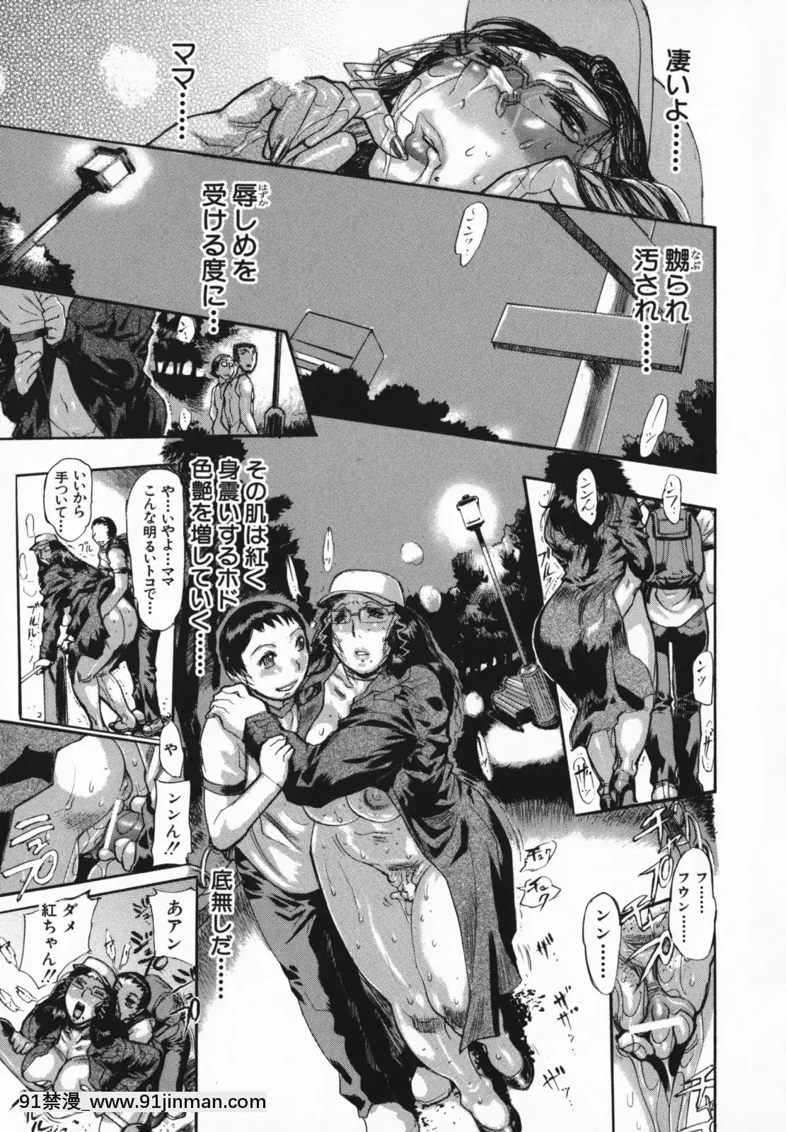 [N.O-茶々丸]痴母の花園[フィギュア 18禁]