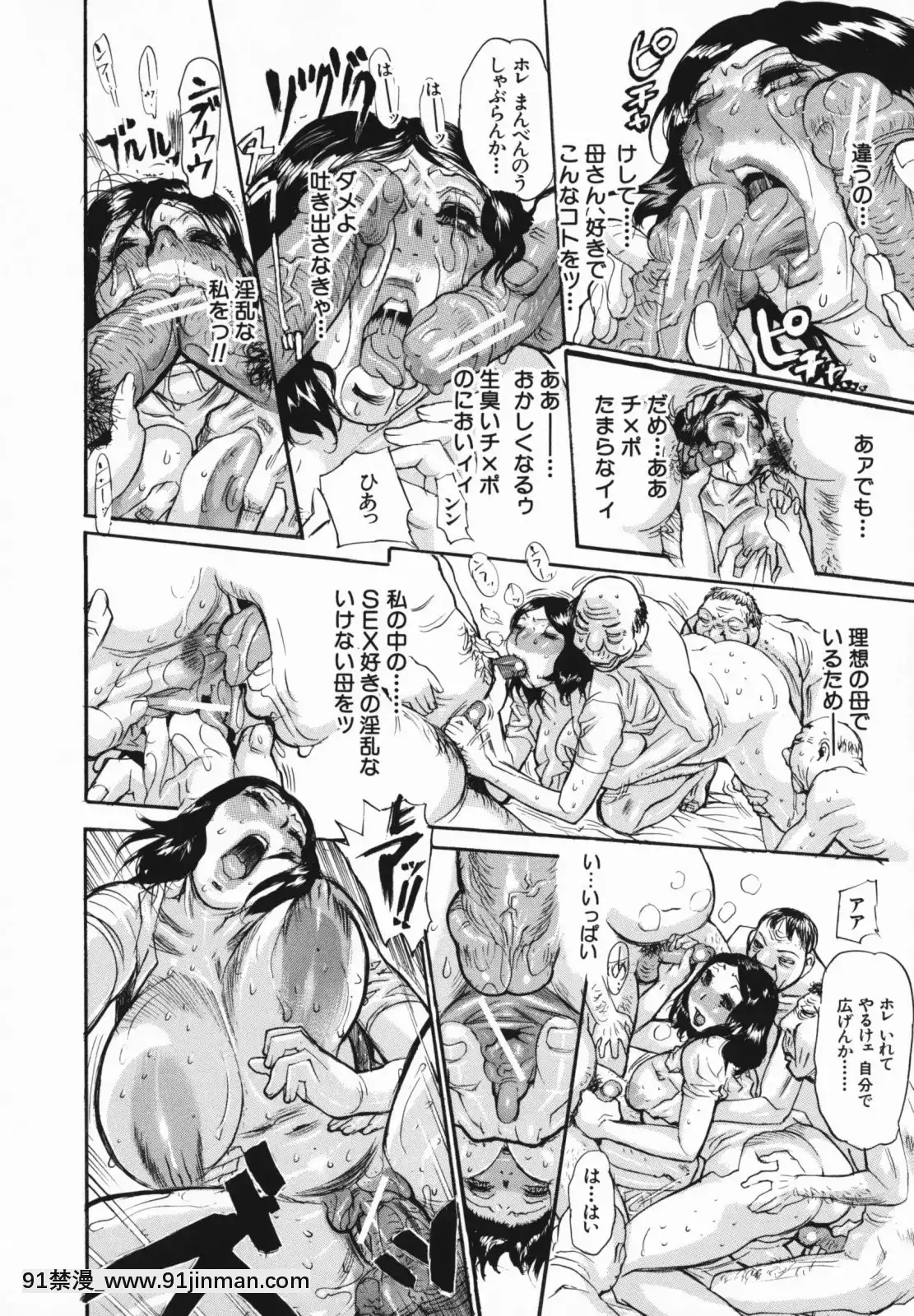 [N.O-茶々丸]痴母の花園[フィギュア 18禁]