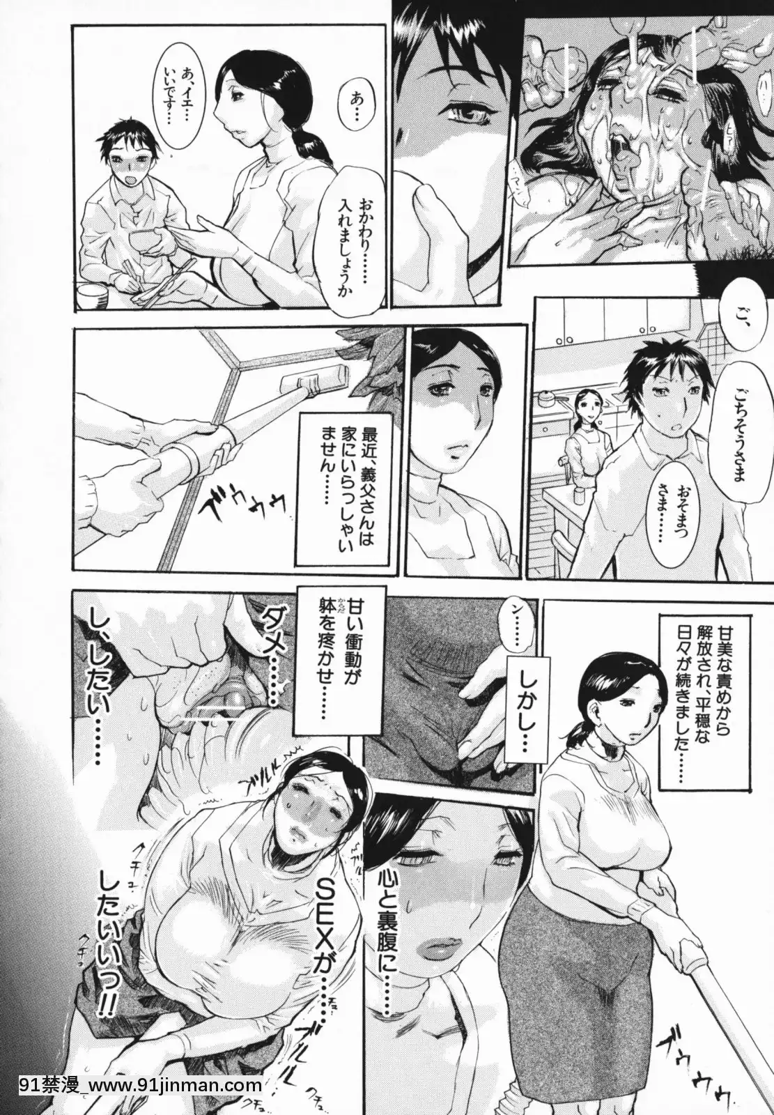 [N.O-茶々丸]痴母の花園[フィギュア 18禁]