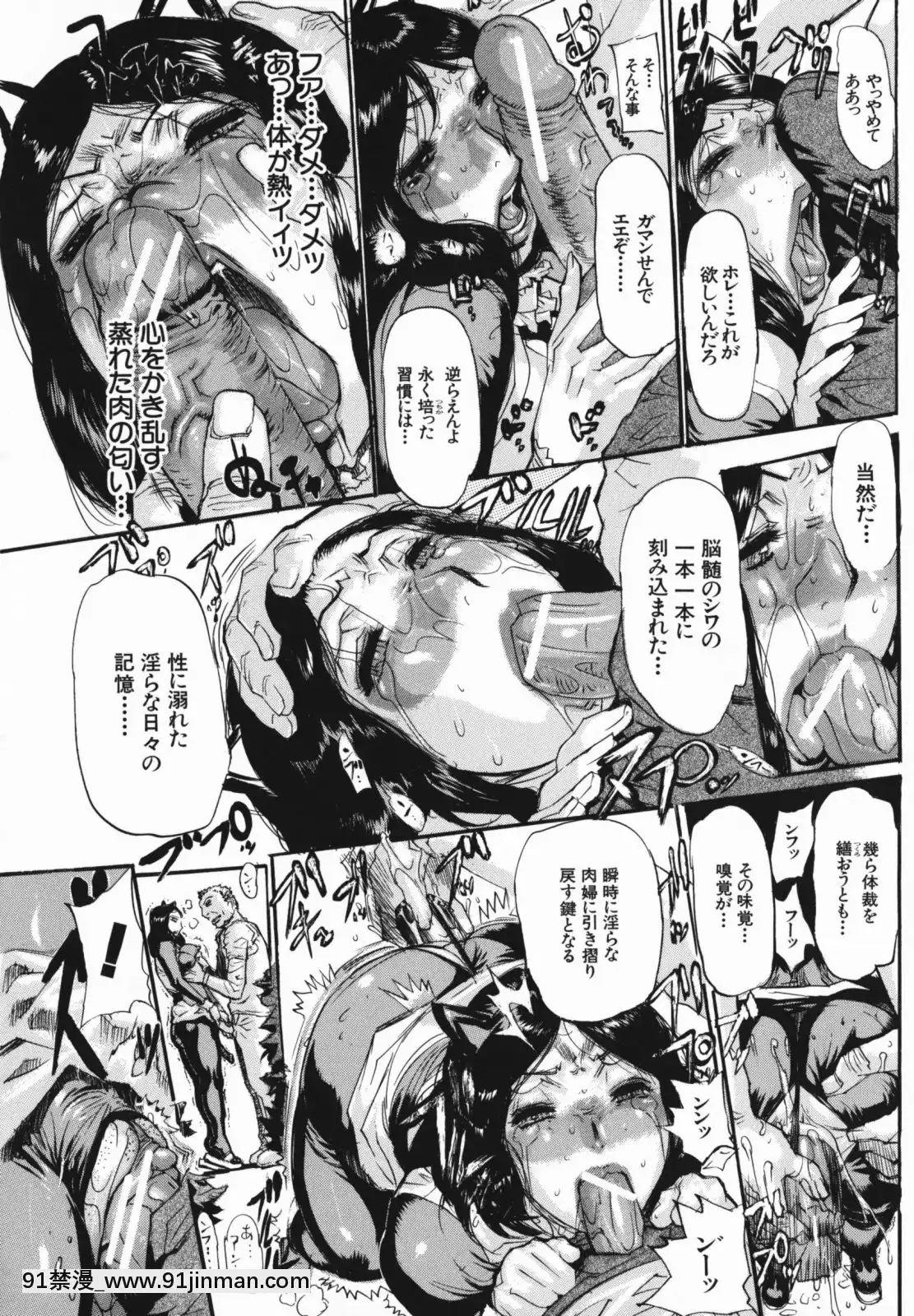 [N.O-茶々丸]痴母の花園[フィギュア 18禁]