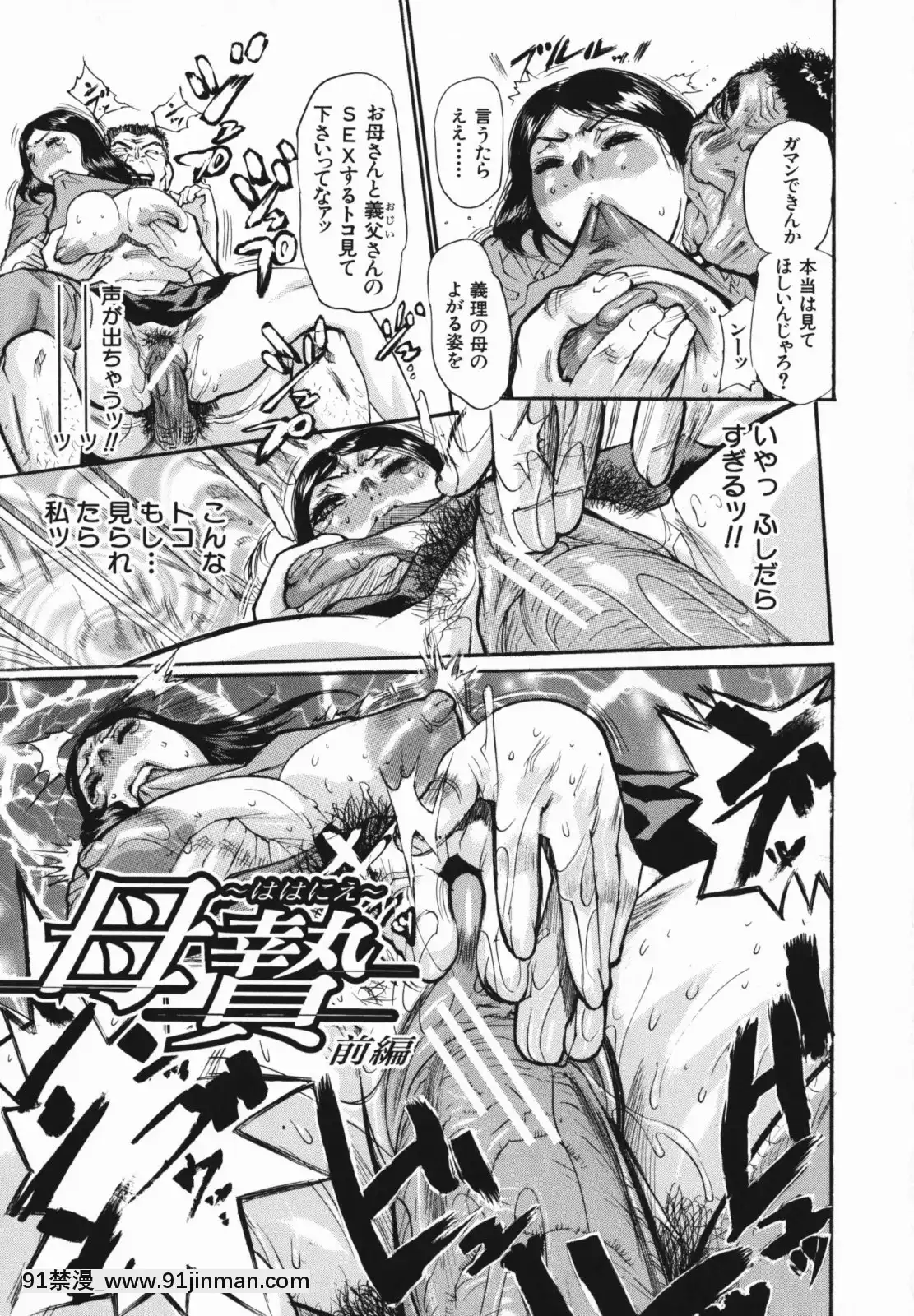 [N.O-茶々丸]痴母の花園[フィギュア 18禁]
