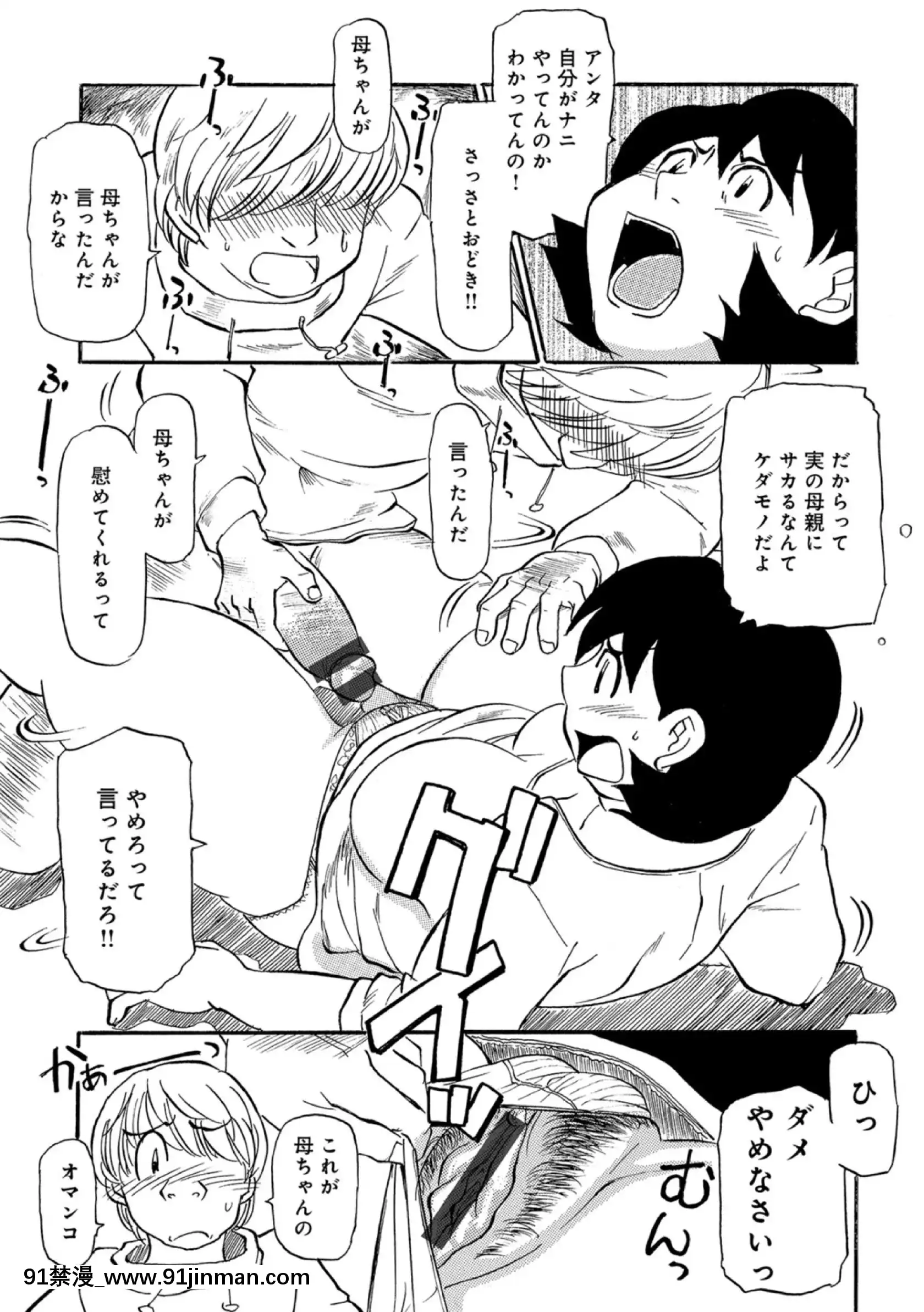 [ふじさわたつろー]母ちゃんはイケテル熟女(抜けページ補完)[18h 動畫]