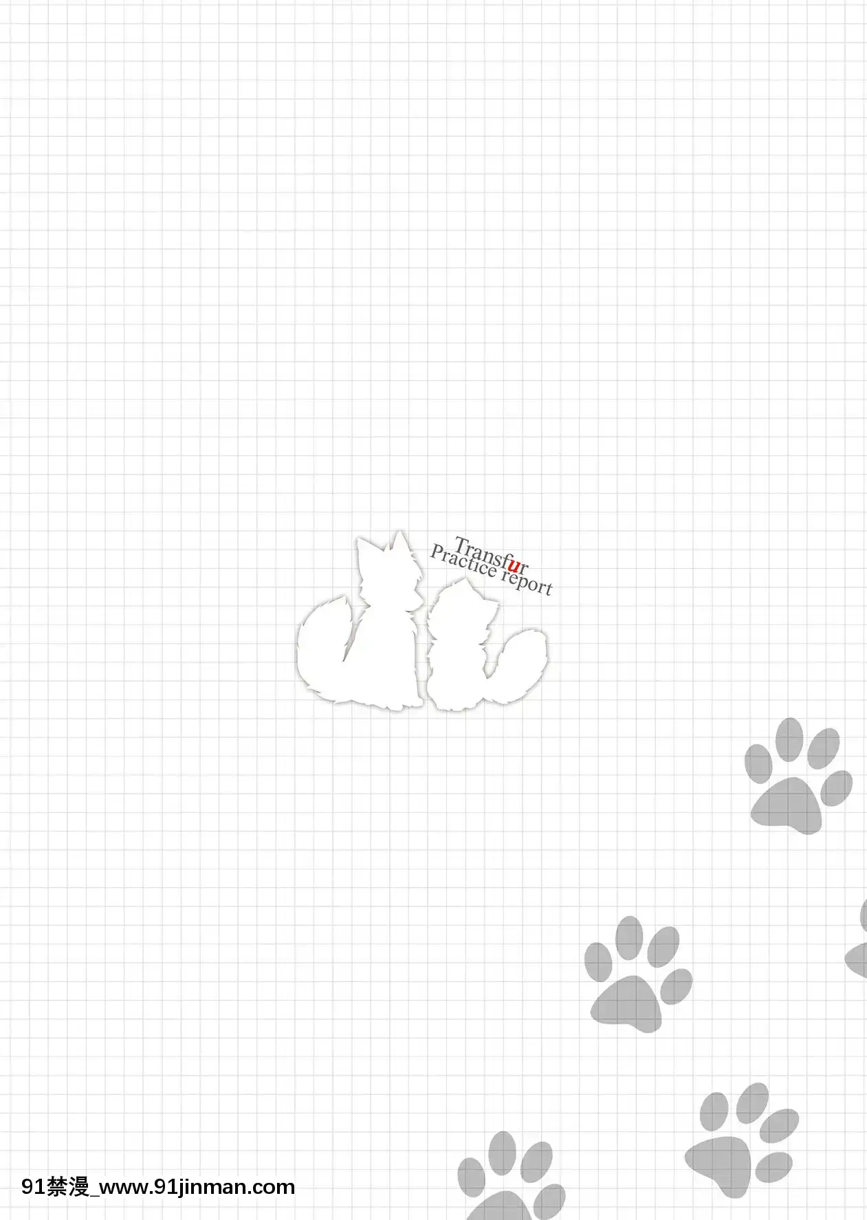 [肉包漢化組][38(トラ貓)]変身実習レポート[DL版][妖精尾巴 梅比斯 h漫]