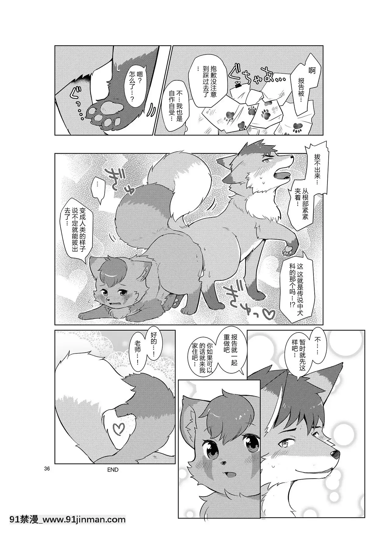 [肉包漢化組][38(トラ貓)]変身実習レポート[DL版][妖精尾巴 梅比斯 h漫]