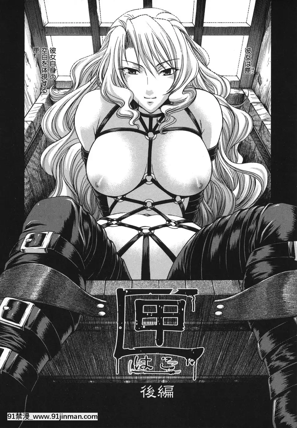 [チバトシロウ]艶姫[ford lgt 18h mower deck]
