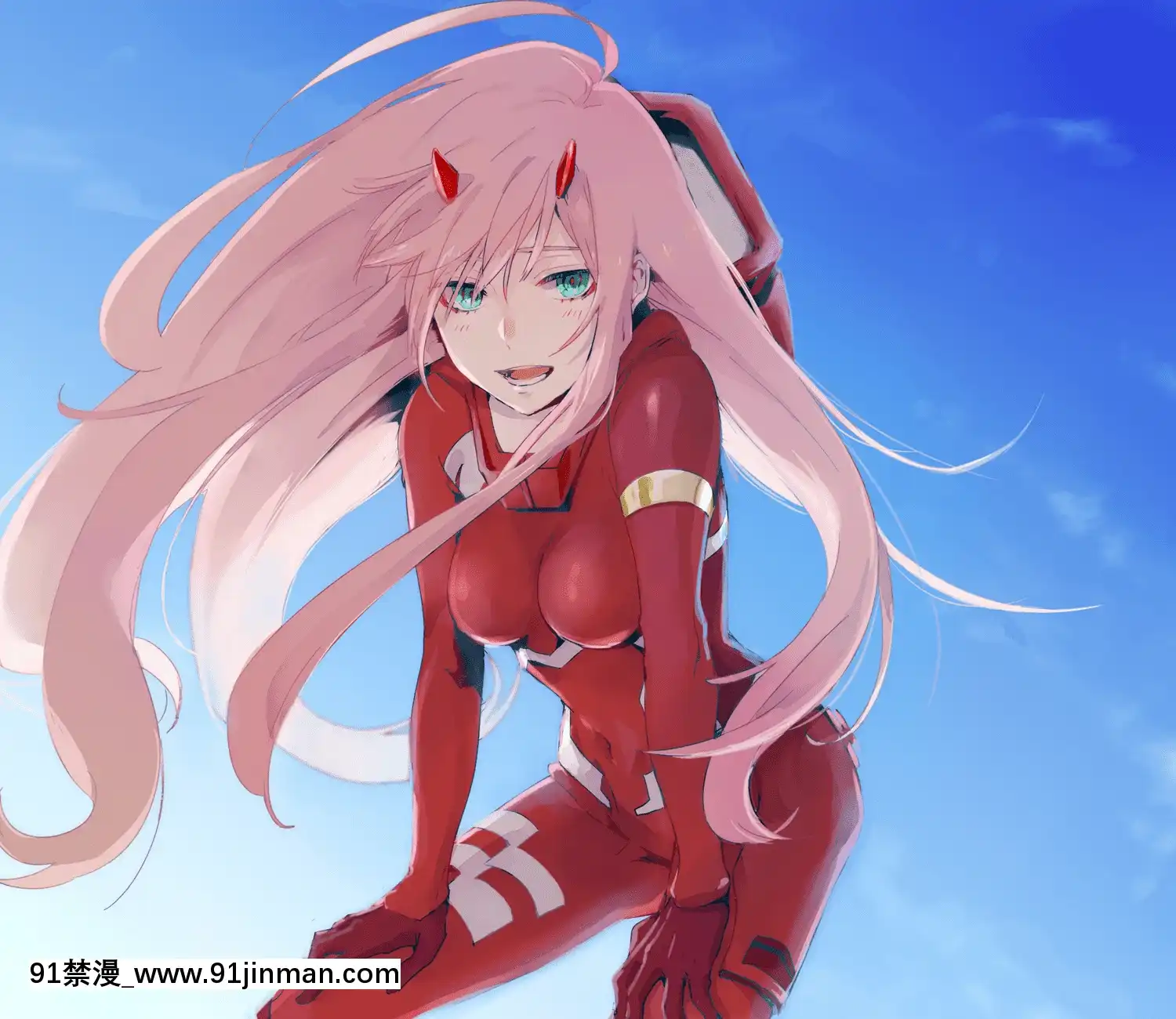 [DarlinginThefranxx]02驾驶服合集[18禁 韓國]