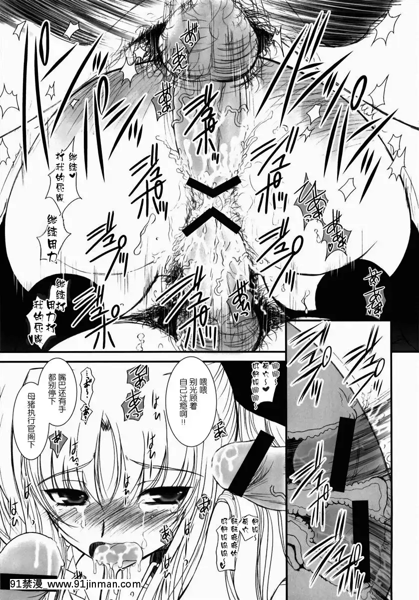 [新橋月白日語社](C76)[DIEPPEFACTORYDarkside(あるぴーぬ)]FATEFIREWITHFIRE3(魔法少女リリカルなのは)[hoje as 18h]