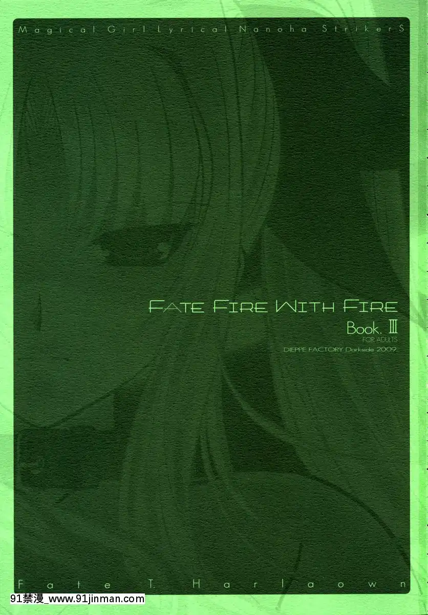 [新橋月白日語社](C76)[DIEPPEFACTORYDarkside(あるぴーぬ)]FATEFIREWITHFIRE3(魔法少女リリカルなのは)[hoje as 18h]