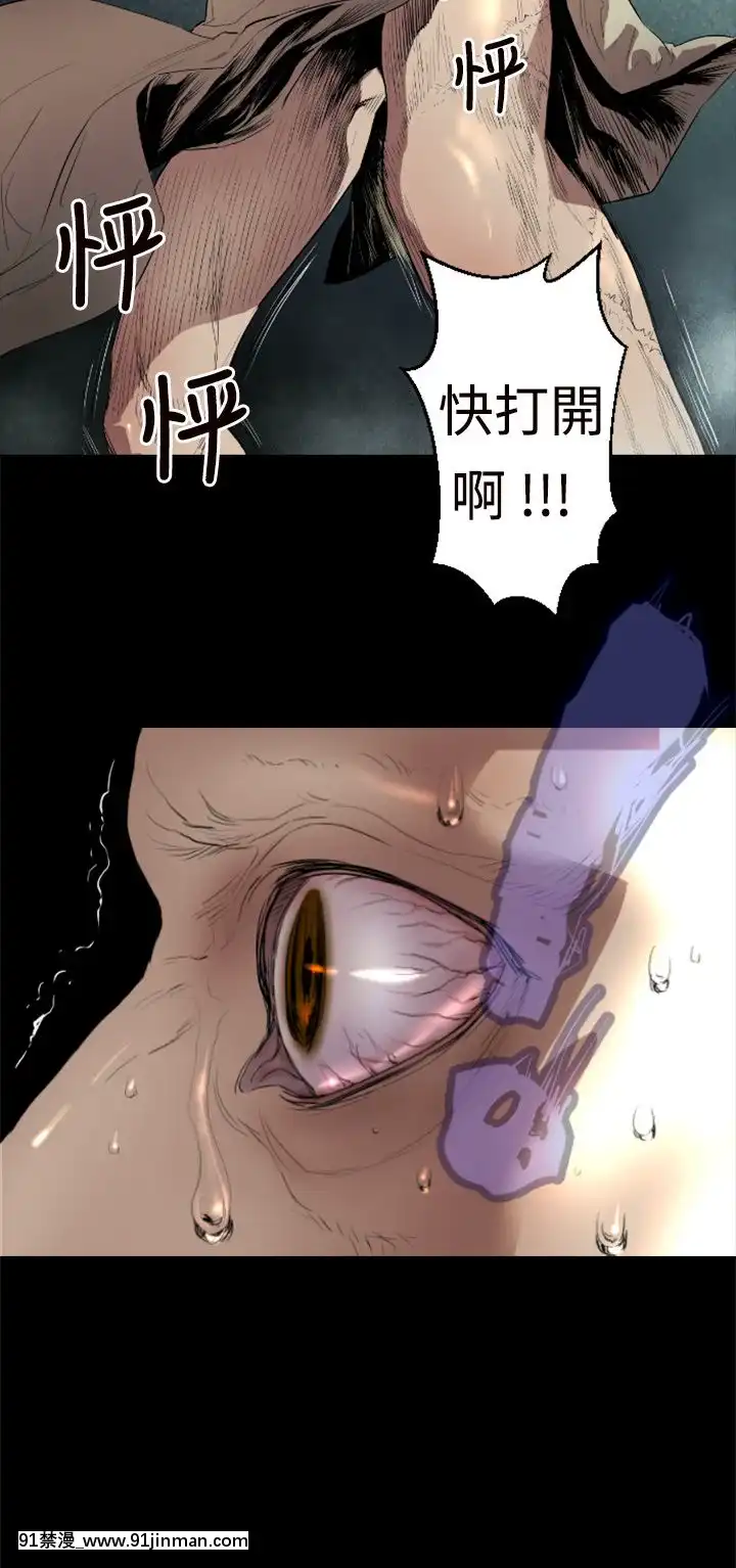 BALANCE1-30話[完結][beastars h漫]