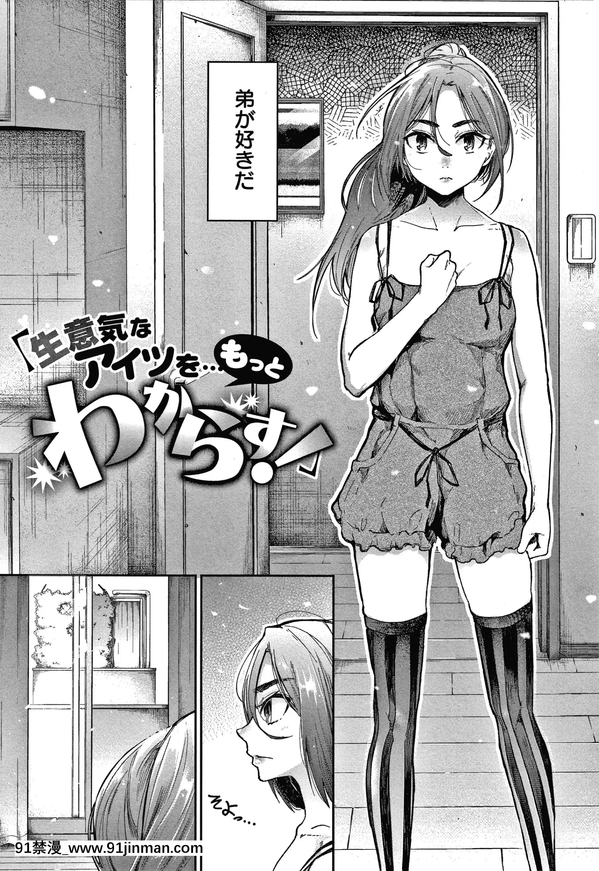 [蒼井ミハル]キミとシたいお姉さん+4Pリーフレット[furry h漫]