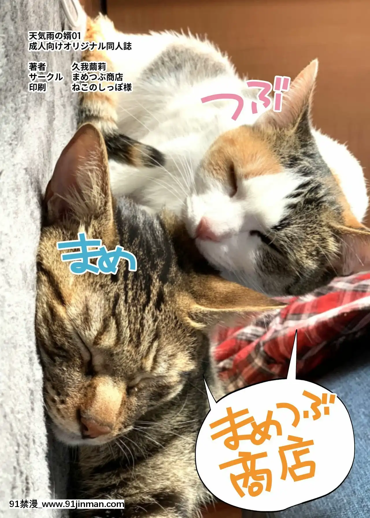[零食漢化組][まめつぶ商店(久我繭莉)]天気雨の婿[DL版][18h france time]