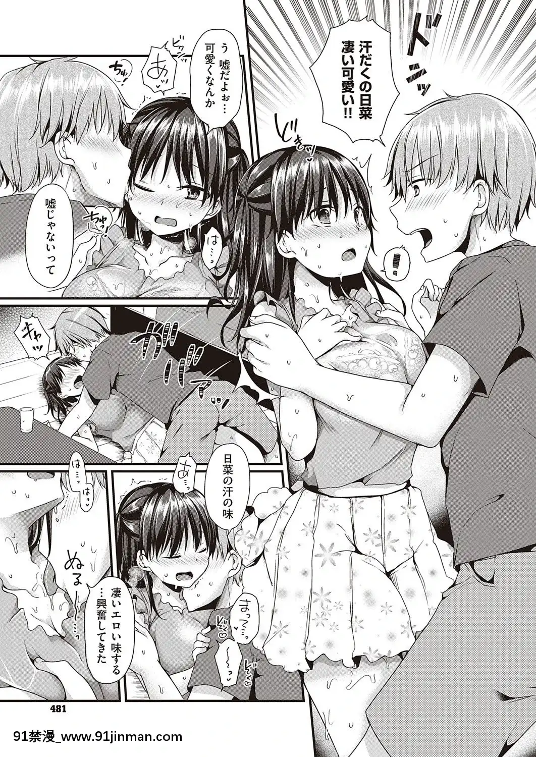 (成年コミック)[雑誌]COMICExE(コミックエグゼ)25[DL版][novela 18h globo]