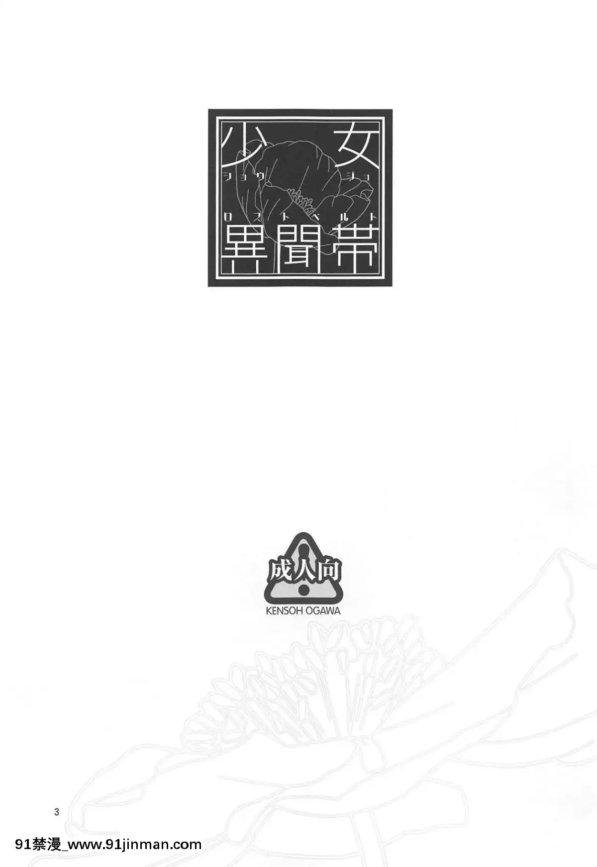 ShoujoLostbelt[radio labs fp-pa-18h]