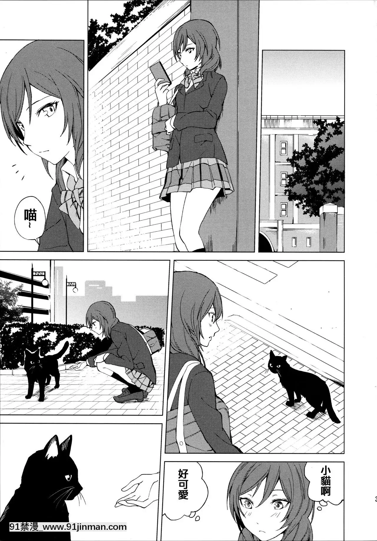 [北京神馬個人漢化](僕らのラブライブ!15)[戦いの軌跡(戦友)]にこまきにゃんにゃん本(ラブライブ!)[校園 h漫]