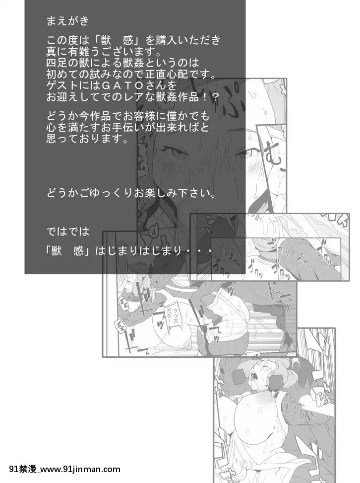 [新桥月白日语社][RushRiseLine]獣感[h漫画 老师]