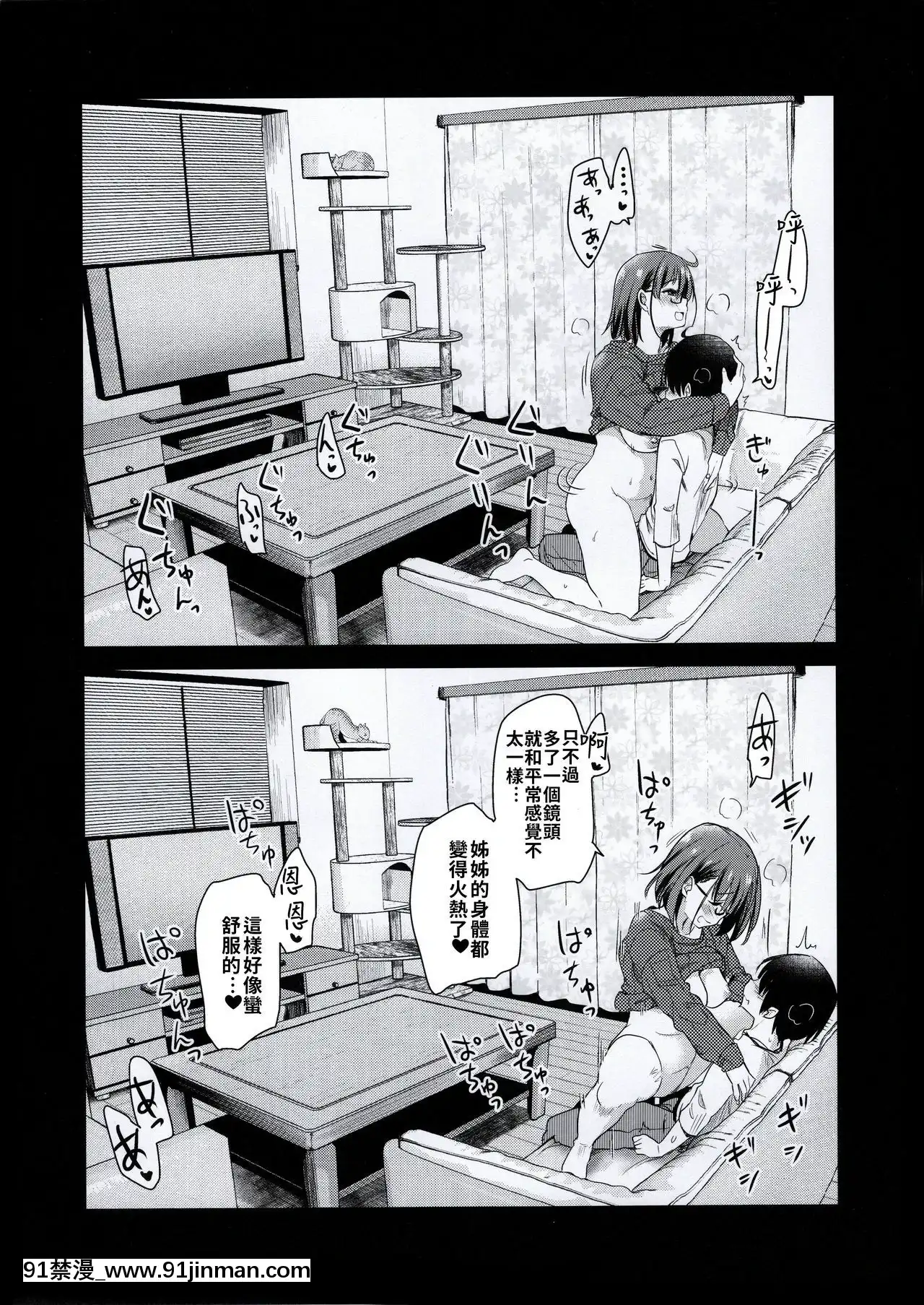 (コミティア131)[真・聖堂☆本舗(聖☆司)]ペット見守りカメラに姉と弟のセックスが映ってた。[禁漫漢化組][couvre feu 18h montreal]