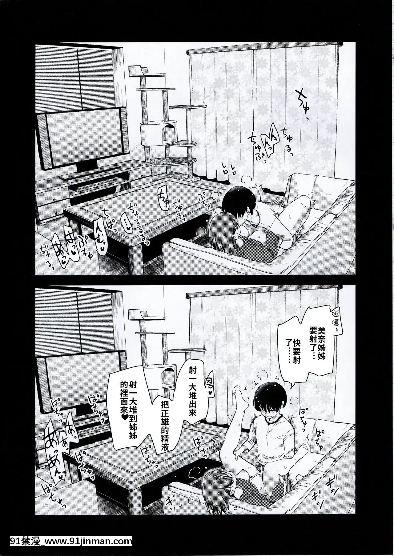 (コミティア131)[真・聖堂☆本舗(聖☆司)]ペット見守りカメラに姉と弟のセックスが映ってた。[禁漫漢化組][couvre feu 18h montreal]