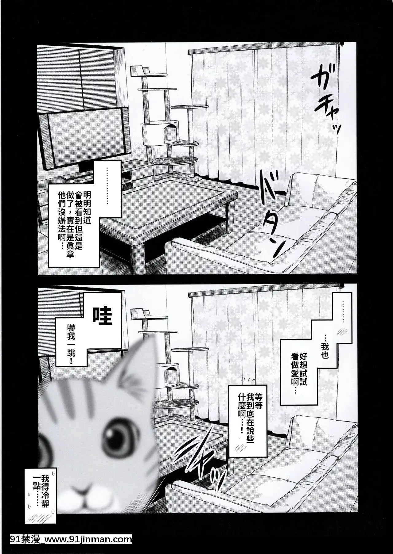 (コミティア131)[真・聖堂☆本舗(聖☆司)]ペット見守りカメラに姉と弟のセックスが映ってた。[禁漫漢化組][couvre feu 18h montreal]
