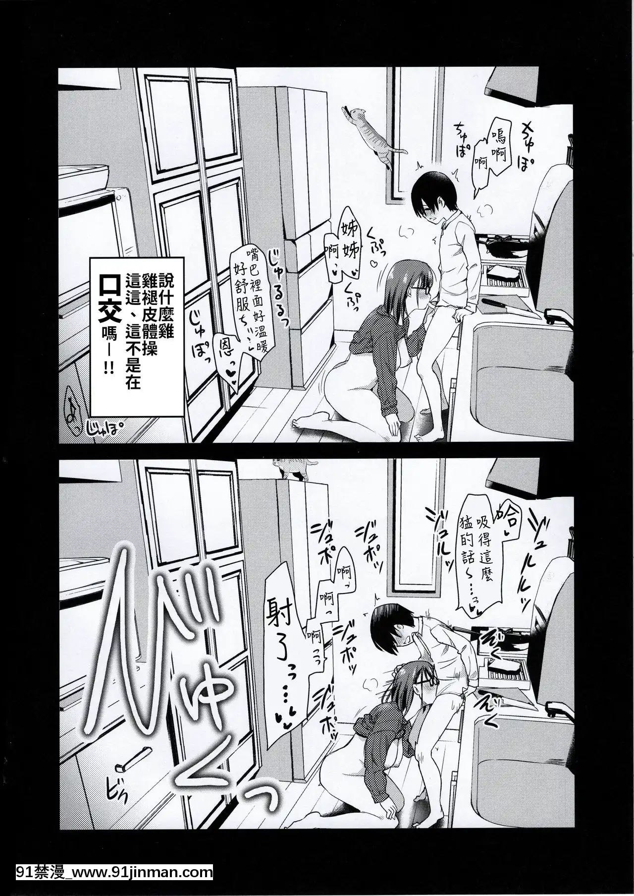 (コミティア131)[真・聖堂☆本舗(聖☆司)]ペット見守りカメラに姉と弟のセックスが映ってた。[禁漫漢化組][couvre feu 18h montreal]