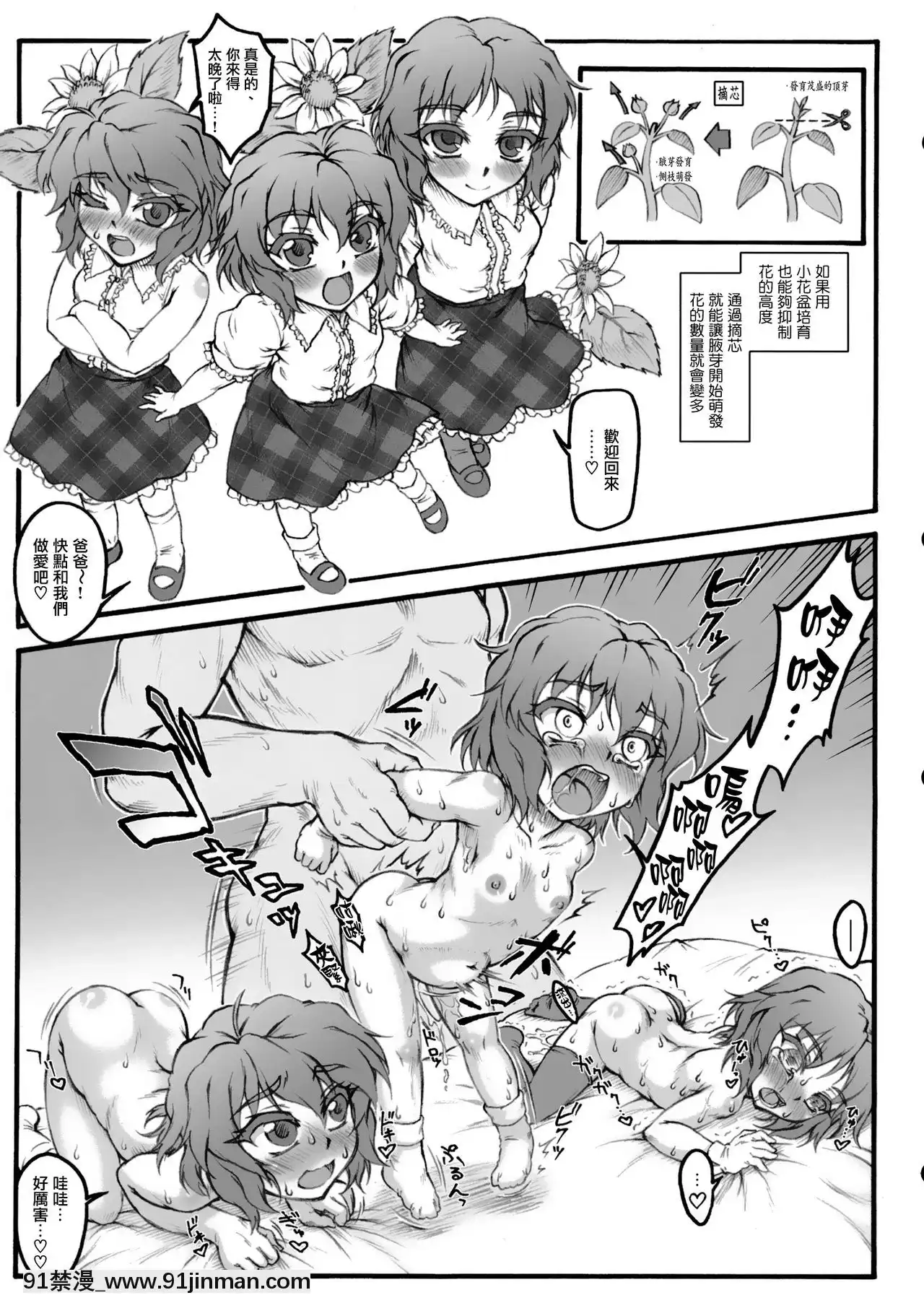 [命蓮寺漢化組](C84)[アビオン村(破箒芥)]ひまわりの育て方(東方鬼畜凌辱ボテ腹合同)(東方Project)[3080.wpp 18h-20.0]