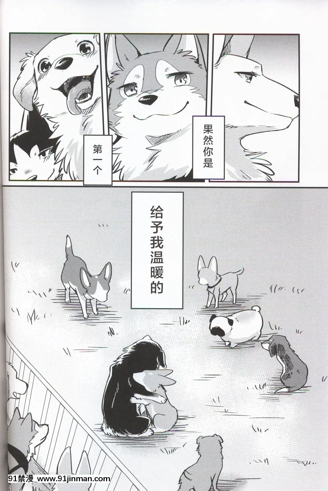 (関西!けもケット7)[回転ParaDOGs(奈贺つくね)]嘘つきたちの『』[中国翻訳][comic h漫画]