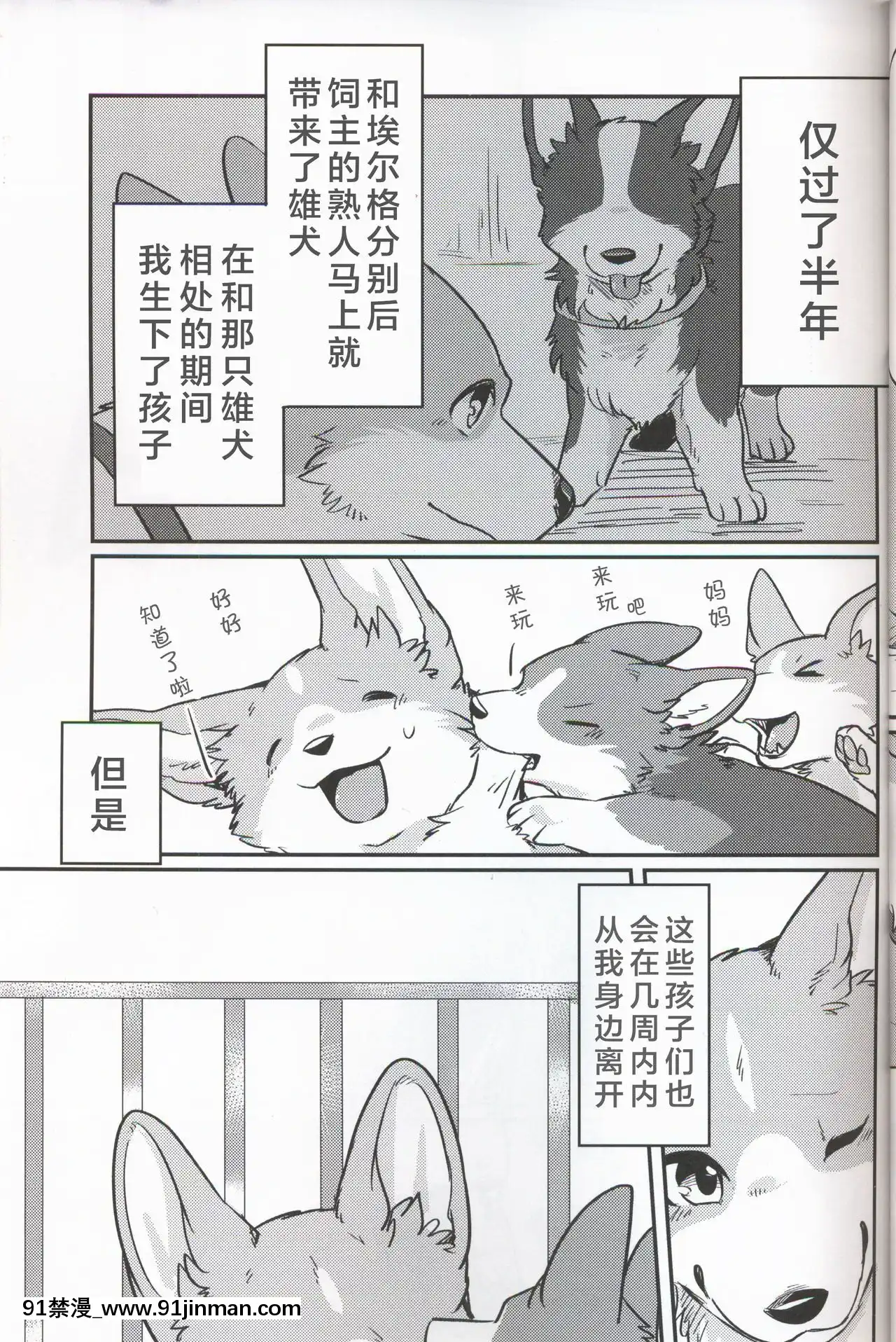 (関西!けもケット7)[回転ParaDOGs(奈贺つくね)]嘘つきたちの『』[中国翻訳][comic h漫画]