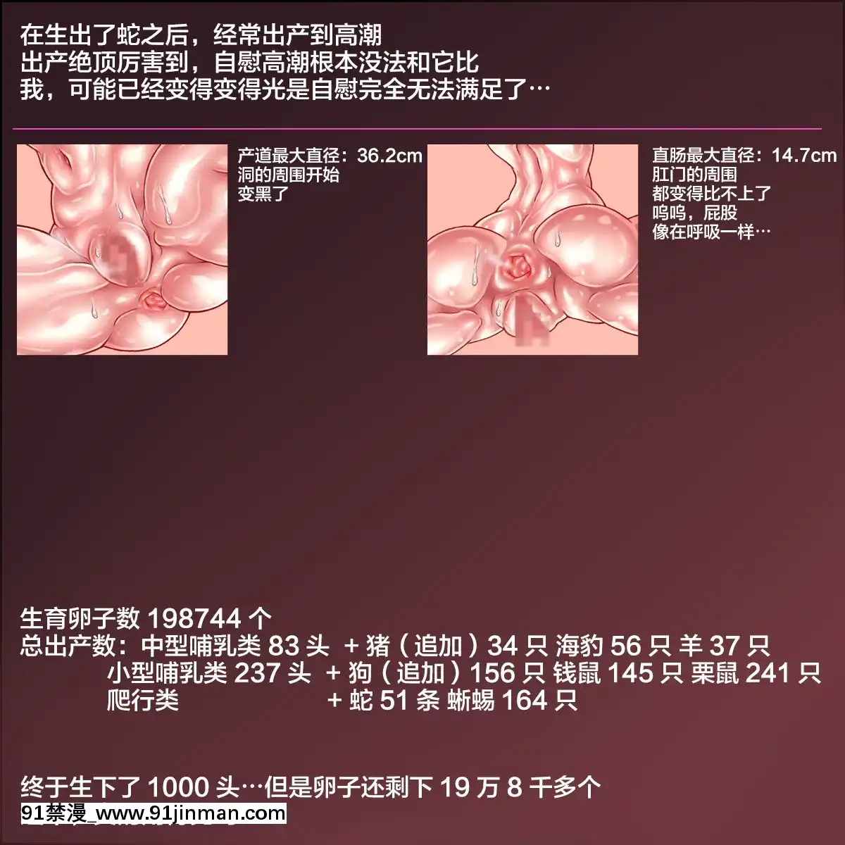 [サークルひとり]ニィアの方舟～卵子20萬個をすべて使い切るまで連続大量出産～[不咕鳥漢化組][科南 h漫]