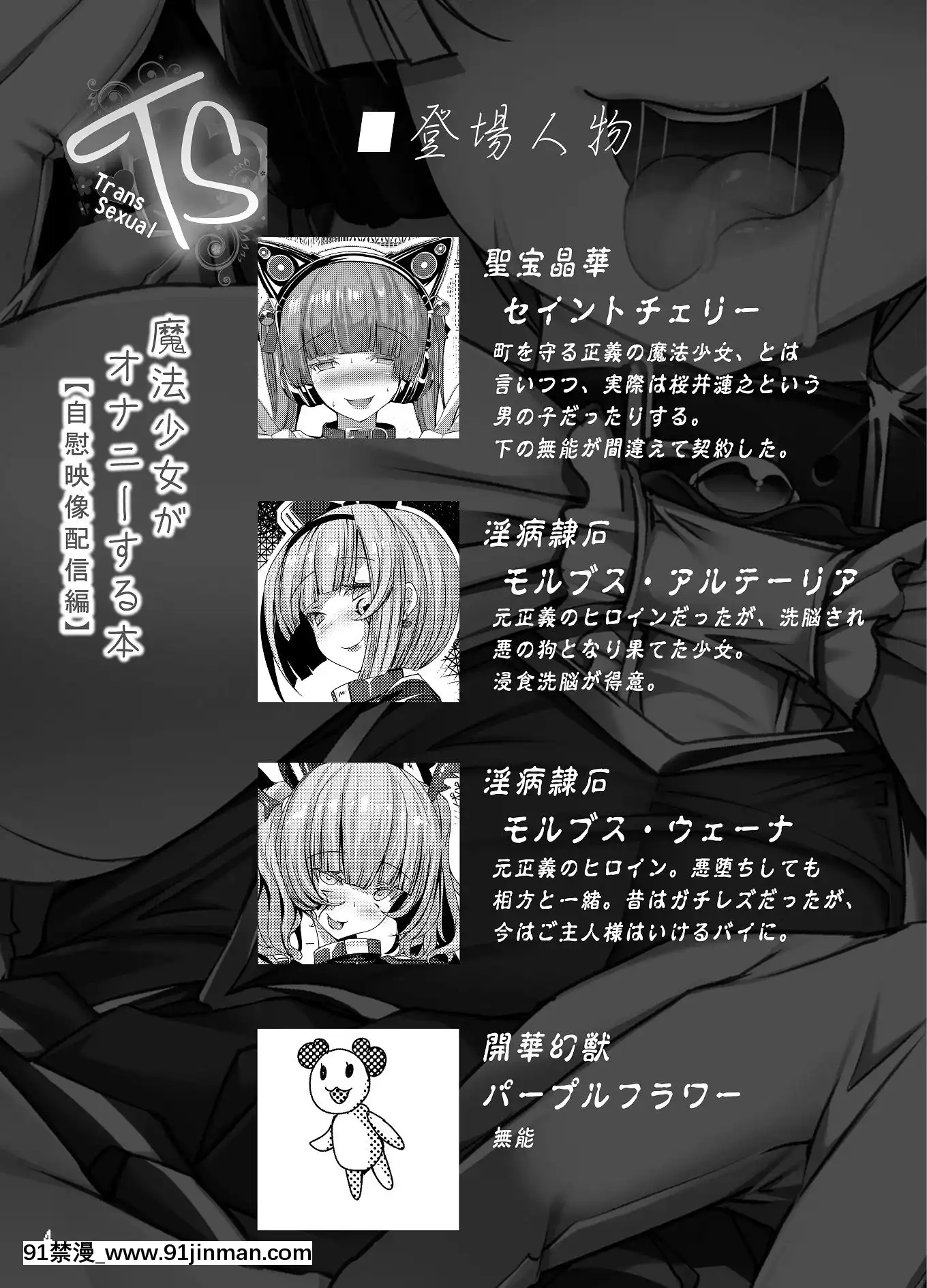 (C97)[とりのおいしいところ(鳥三)]TS魔法少女がオナニーする本～自慰映像配信編～[拳皇 h漫]