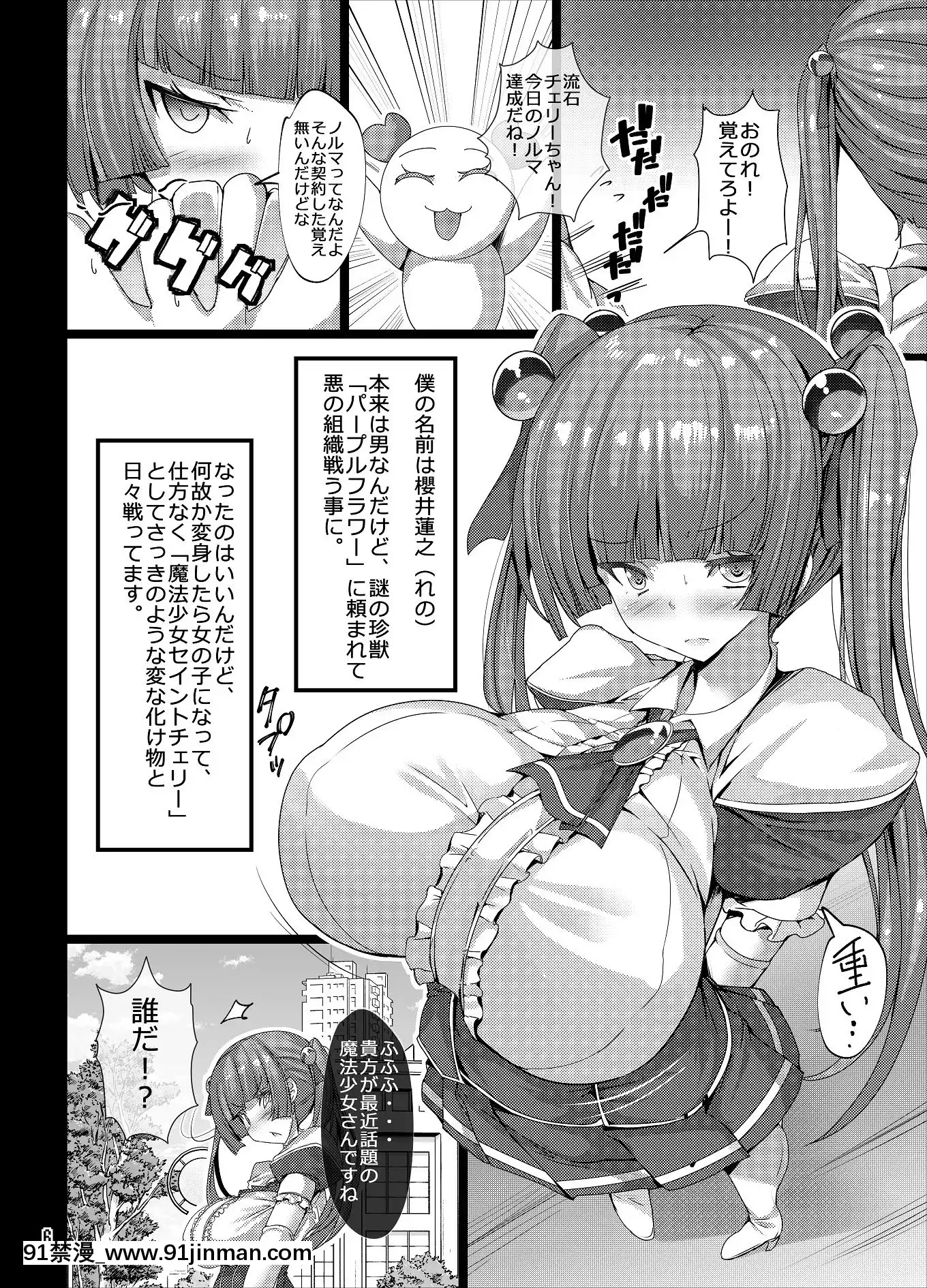 (C97)[とりのおいしいところ(鳥三)]TS魔法少女がオナニーする本～自慰映像配信編～[拳皇 h漫]