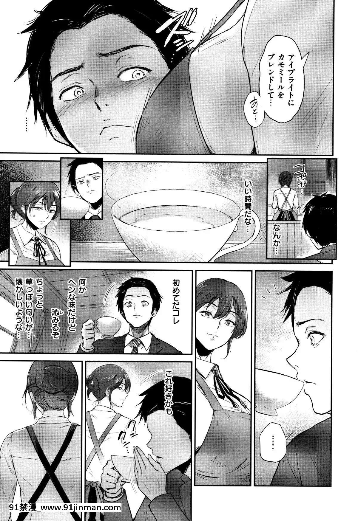 [ビフィダス]情交の日々+4Pリーフレット[h漫 亂倫]