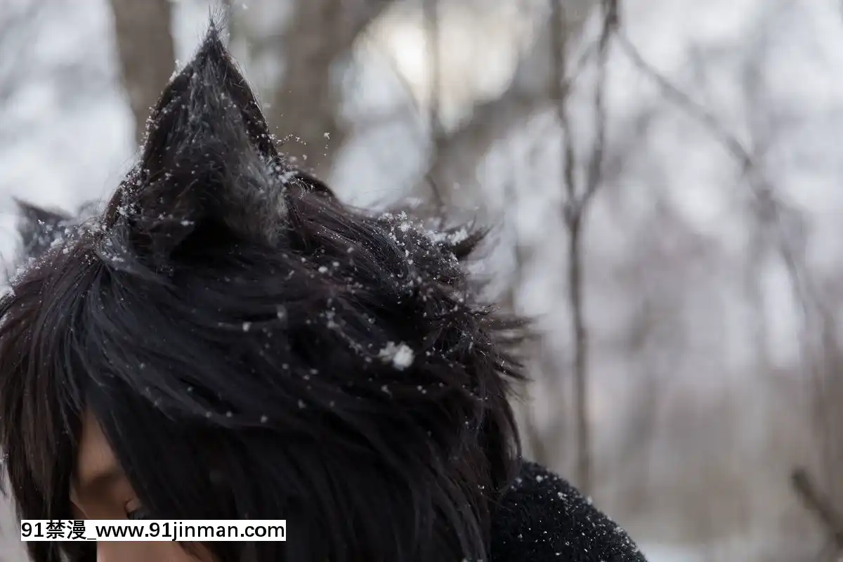 [nonsummerjack]Timberwolf[18禁 言情]