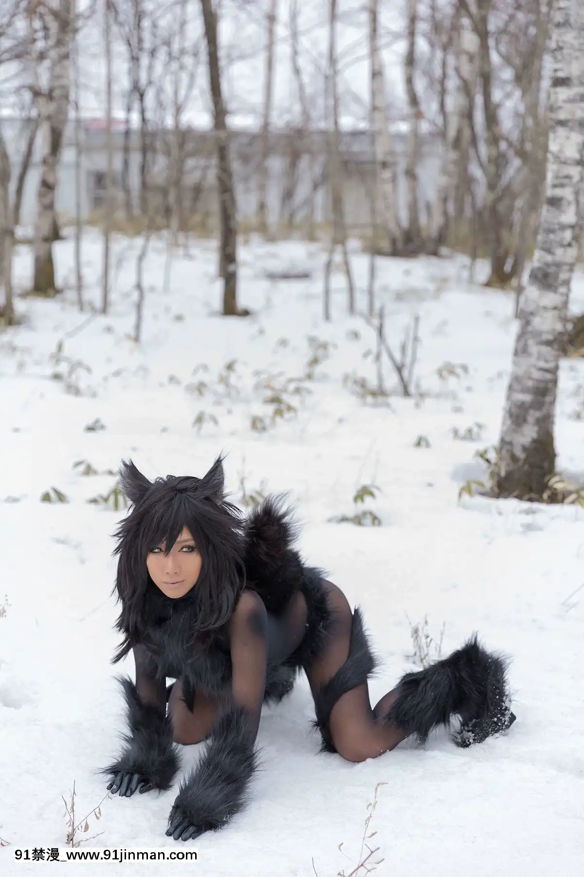 [nonsummerjack]Timberwolf[18禁 言情]