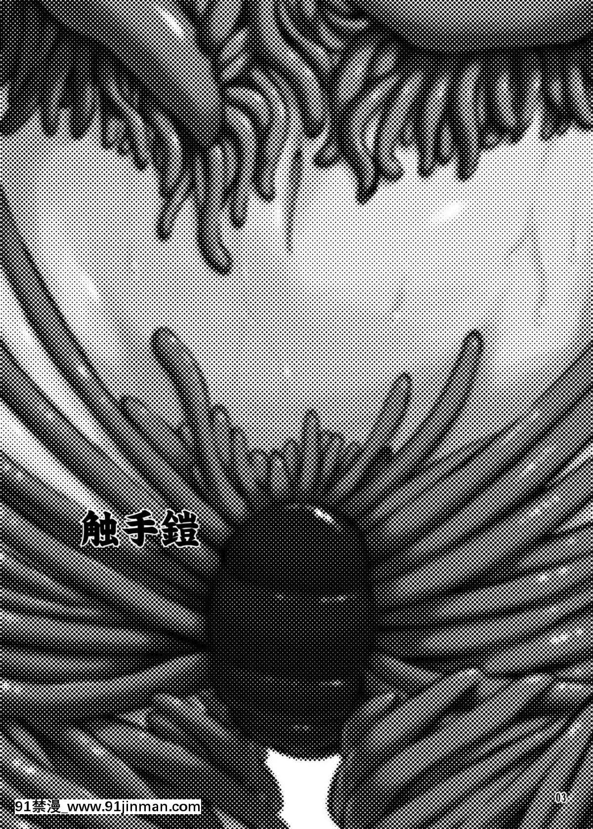 (C81)[カメムシ(神鳴る冬)]觸手鎧[中國翻訳][tl h漫]