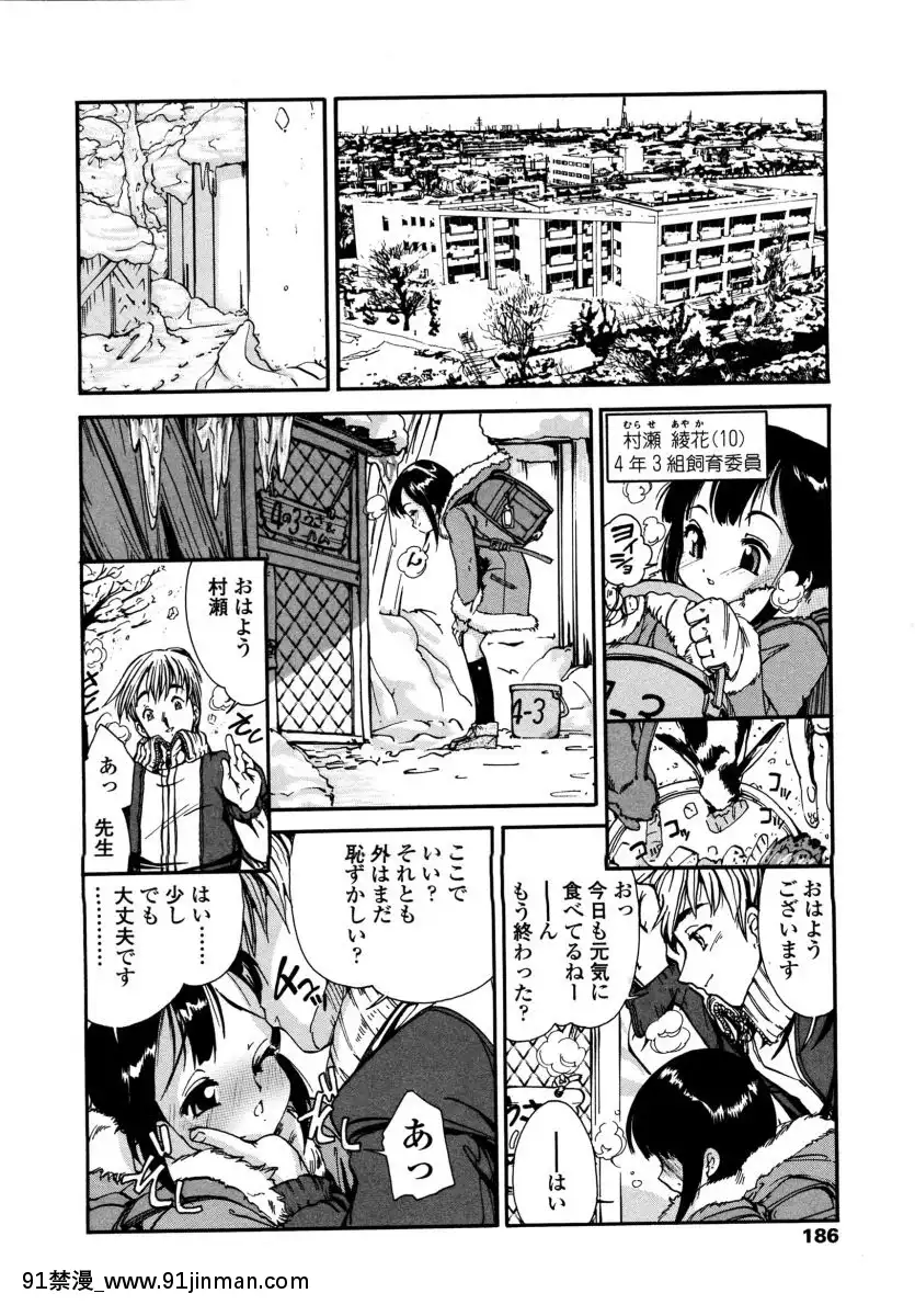 [ほかまみつり]-みんなの登校日[one piece h漫]
