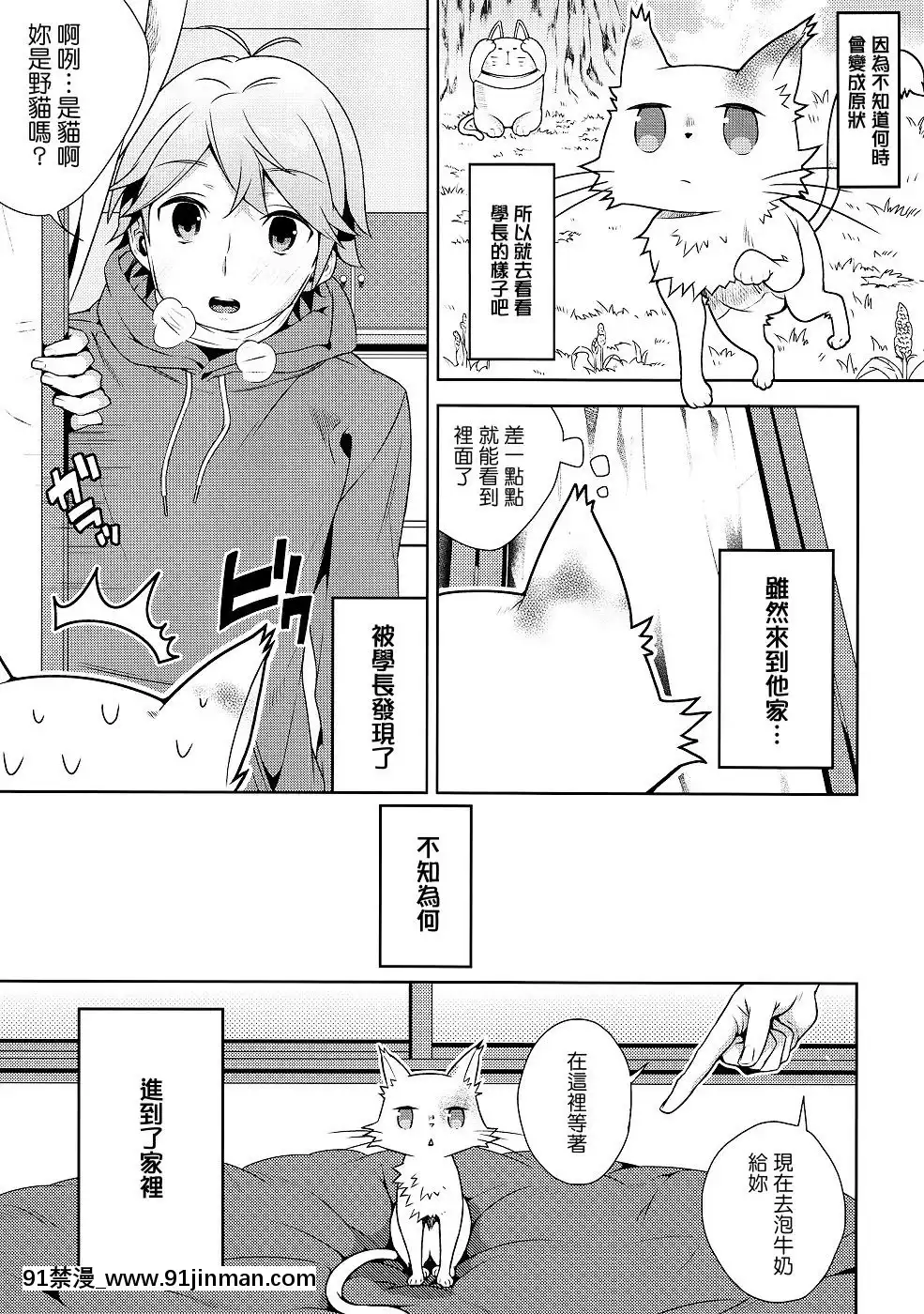 (COMIC1☆6)-[いちごぱんつ-(カグユヅ)]-変態王子に犯された貓。-(変態王子と笑わない貓。)[咒術迴戰 h漫]