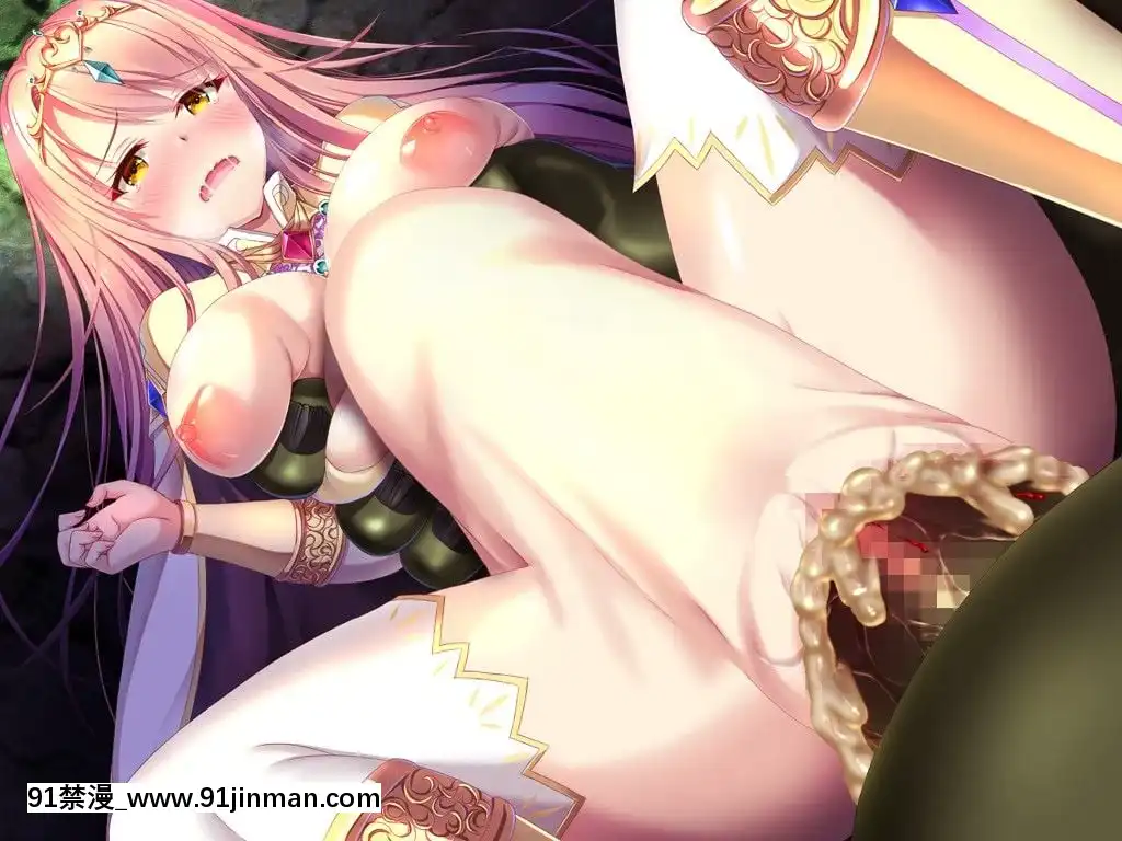 隷屬の姫騎士姉妹-～終わらないオークの永久苗牀～[h漫 片]